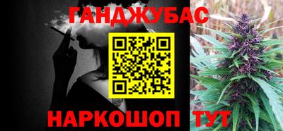 прущие крисы Малгобек