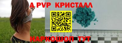 прущие крисы Малгобек